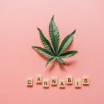 Зачем замачивать семена конопли и как это делать правильно image_116.jpg