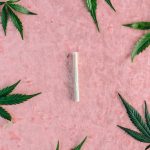 Выращивание марихуаны из семян основные шаги и советы image_220.jpg