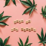 Гидропоника конопли из семян image_295.jpg