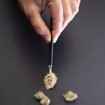 Заказ семян конопли через почту и уход за растениями image_432.jpg