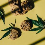 Семена конопли Bubba Kush feminised от Humboldt Seeds image_440.jpg