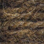 Сорт конопли Amnesia Haze feminised от Breeders Community Seeds images271.jpg