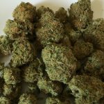 Проращивание семян конопли images474.jpg