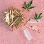 Автоцветущие семена конопли и особенности их выращивания image_112.jpg