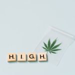 Семена конопли сорта Critical + feminised от компании Ganja Seeds image_129.jpg