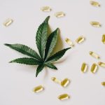 Семена конопли Blueberry regular от Ganja Seeds image_132.jpg