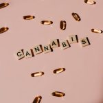 Семена конопли Auto Girl Scout Cookies feminised от Ganja Seeds image_190.jpg