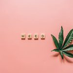 Урбеч и семена конопли полезные свойства и преимущества для здоровья image_191.jpg