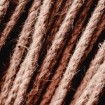 Семена конопли Stone: преимущества и особенности выращивания image_214.jpg