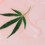 Семена конопли их питательная ценность и преимущества для здоровья image_229.jpg