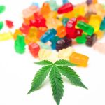 Сорт конопли Wonder Woman от Nirvana Seeds image_237.jpg