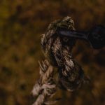 Семена конопли Cheese feminised от Ganja Seeds image_251.jpg