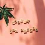 Семена конопли Auto Critical Hog feminised от Ganja Seeds image_294.jpg