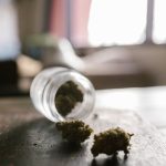 Семена птичьего конопли полезные свойства и применение image_298.jpg