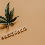 Особенности и преимущества семян низкорослой конопли image_321.jpg