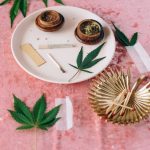 Почему не прорастают семена конопли и как добиться успешного прорастания image_337.jpg