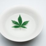 Покупка семян марихуаны в Москве и правовые аспекты культивирования растений image_369.jpg