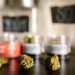 Правовые аспекты продажи семян марихуаны image_385.jpg