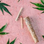 Законность семян конопли в разных странах image_390.jpg