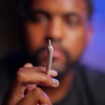 Семена марихуаны и их проращивание image_410.jpg