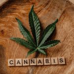 Продажа семян конопли в России: законодательство и перспективы image_416.jpg