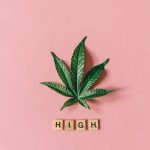 Заваривание семян конопли и их полезные свойства image_418.jpg