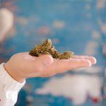 Семена конопли Auto Royal Cookies feminised от Royal Queen Seeds image_423.jpg