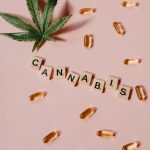 Каталог магазинов семян конопли: как выбрать надежного поставщика image_490.jpg