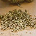 Автоцветущие Семена Конопли: Преимущества и Выбор для Покупки image_501.jpg