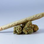 Провоз семян конопли: законодательство и особенности использования image_549.jpg