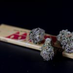 Покупка семян конопли в Санкт-Петербурге аспекты и рекомендации image_560.jpg