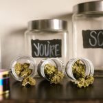 Покупка семян конопли в Екатеринбурге image_69.jpg