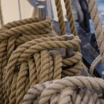 Преимущества и применение семян промышленной конопли images298.jpg