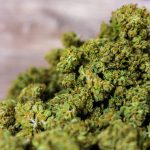 Семена конопли Auto Magnum feminised от Ganja Seeds images318.jpg