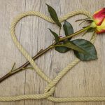 Семена конопли и их использование в современном мире images328.jpg