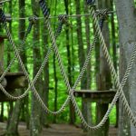 Семена конопли Auto Northern Lights feminised от Green House Seeds images419.jpg