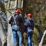 Семена конопли полезные свойства и применение images427.jpg