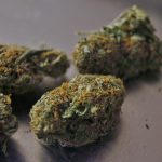 Семена конопли и их использование images463.jpg